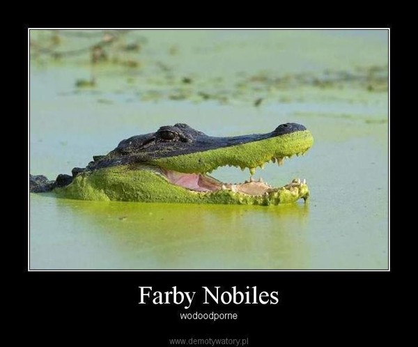 Farby Nobiles – wodoodporne 