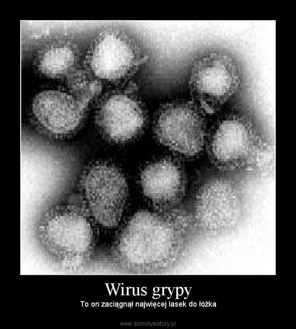 Wirus grypy – To on zaciągnął najwięcej lasek do łóżka 