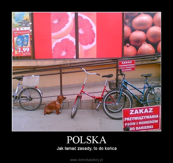 POLSKA – Jak łamać zasady, to do końca 