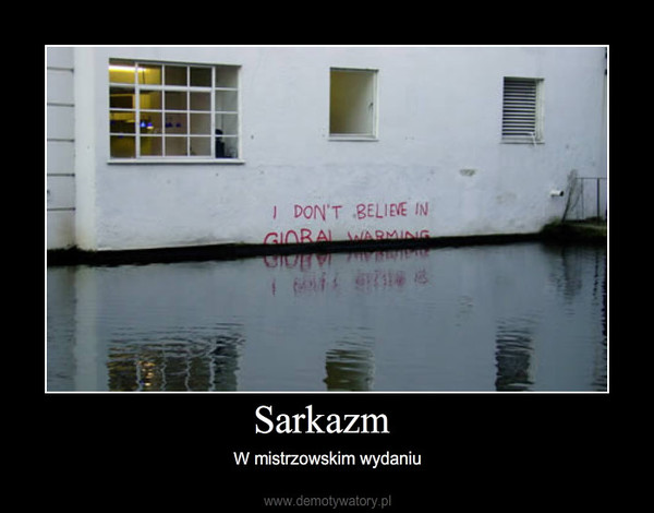 Sarkazm – W mistrzowskim wydaniu 