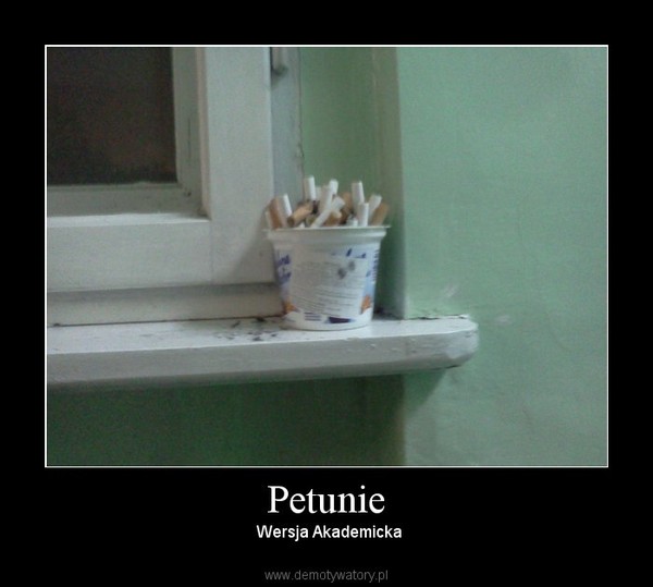 Petunie –  Wersja Akademicka 