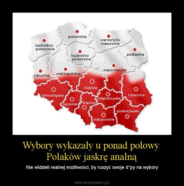 Wybory wykazały u ponad połowy  Polaków jaskrę analną – Nie widzieli realnej możliwości, by ruszyć swoje d*py na wybory 