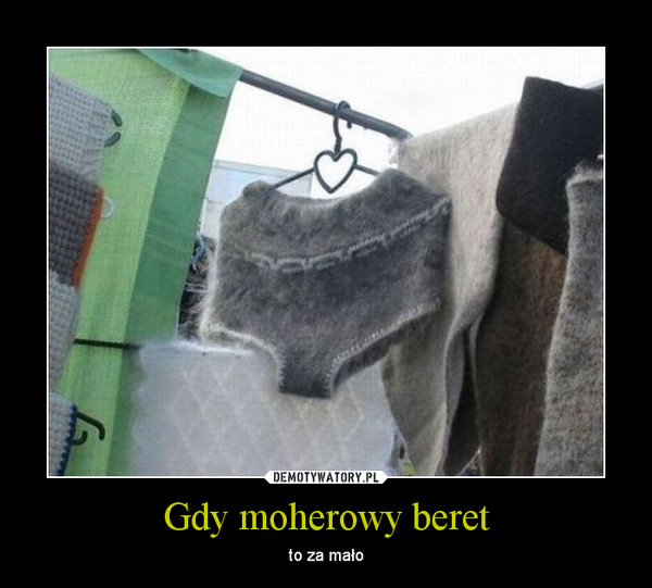 Gdy moherowy beret