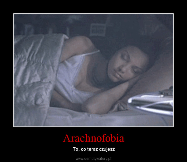 Arachnofobia – To, co teraz czujesz 