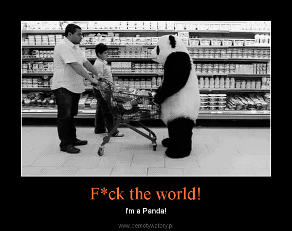 F*ck the world! – I'm a Panda! 