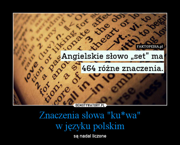 Znaczenia słowa "ku*wa"w języku polskim – są nadal liczone 