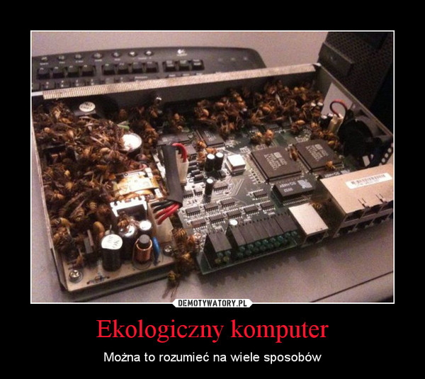 Ekologiczny komputer