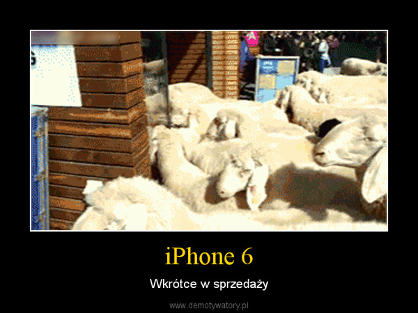iPhone 6 – Wkrótce w sprzedaży 