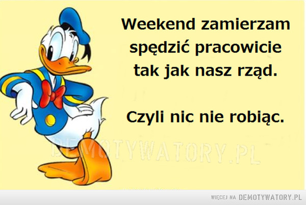Pracowity weekend –  