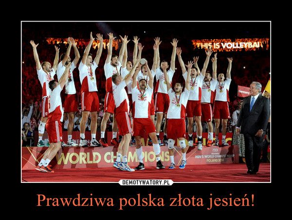 Prawdziwa polska złota jesień! –  