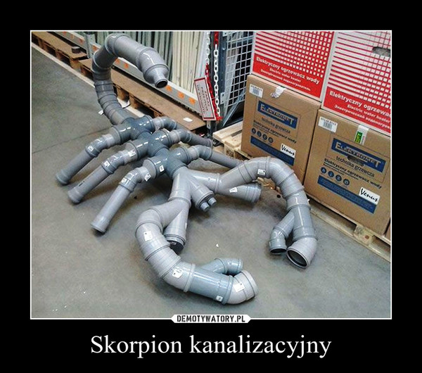 Skorpion kanalizacyjny