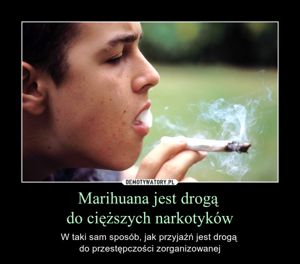 Marihuana jest drogą 
do cięższych narkotyków