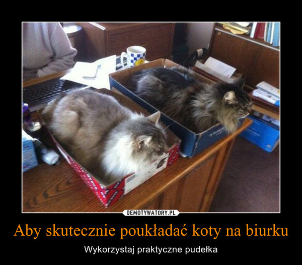 Aby skutecznie poukładać koty na biurku – Wykorzystaj praktyczne pudełka 