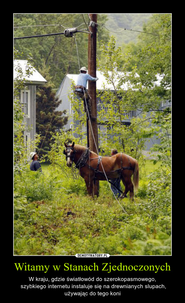 Witamy w Stanach Zjednoczonych – W kraju, gdzie światłowód do szerokopasmowego, szybkiego internetu instaluje się na drewnianych slupach, używając do tego koni 