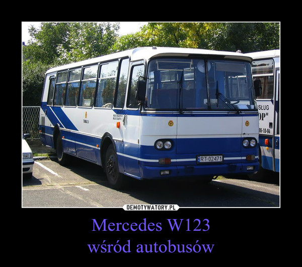 Mercedes W123
wśród autobusów