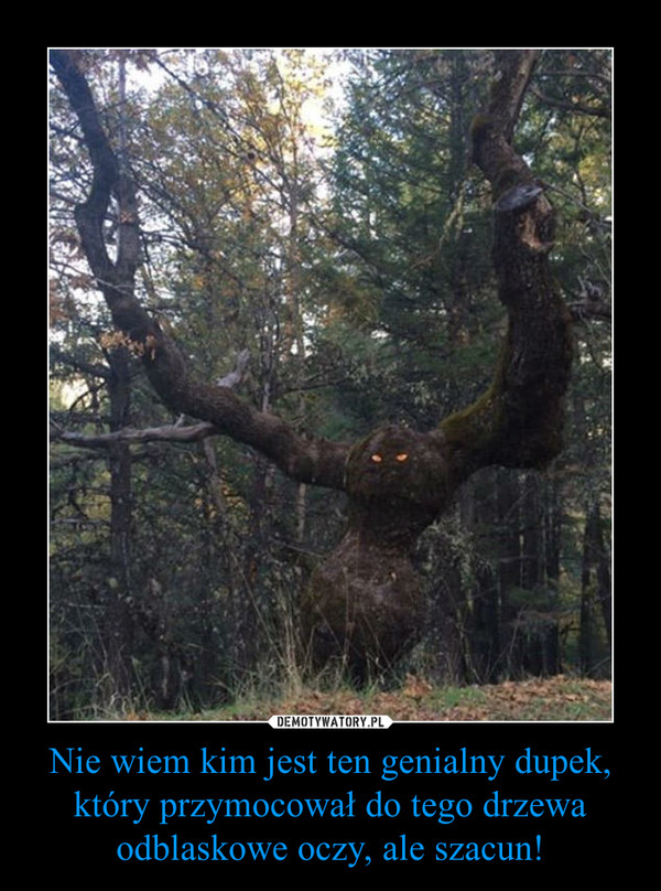 Nie wiem kim jest ten genialny dupek, który przymocował do tego drzewa odblaskowe oczy, ale szacun! –  
