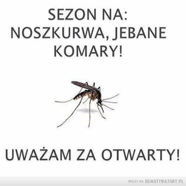 Komary... –  SEZON NA:NOSZKURWA, JEBANE KOMARY!UWAŻAM ZA OTWARTY!
