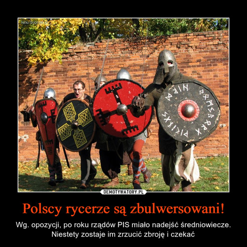 Polscy rycerze są zbulwersowani!