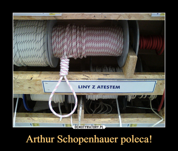 Arthur Schopenhauer poleca! –  