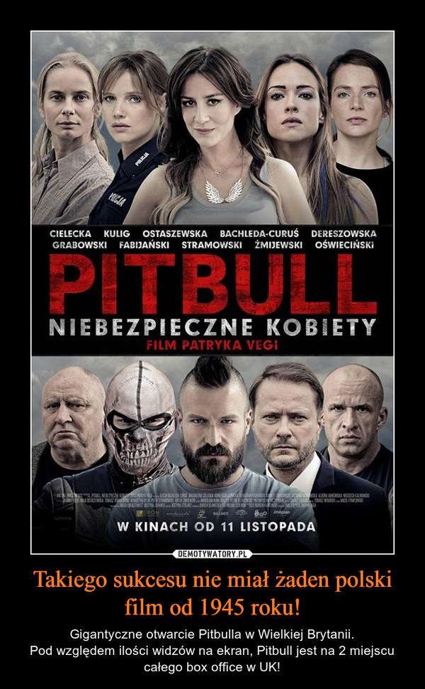 Takiego sukcesu nie miał żaden polski film od 1945 roku! – Gigantyczne otwarcie Pitbulla w Wielkiej Brytanii.Pod względem ilości widzów na ekran, Pitbull jest na 2 miejscu całego box office w UK! 