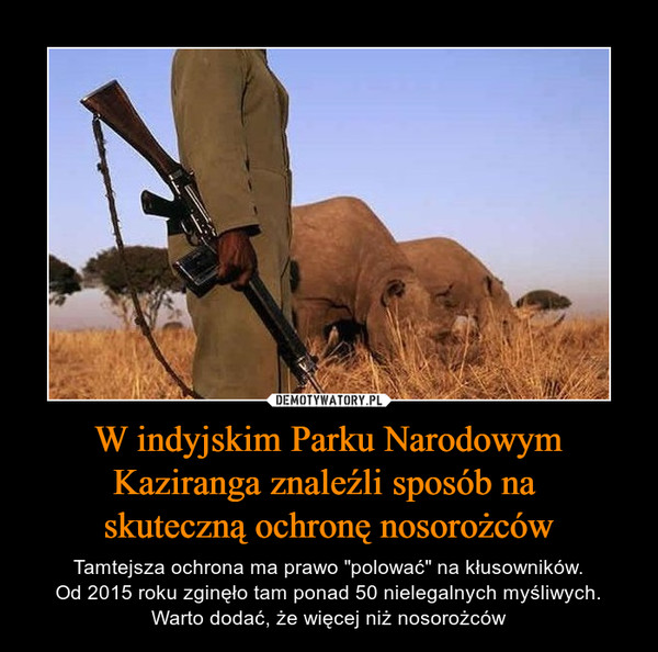 W indyjskim Parku Narodowym Kaziranga znaleźli sposób na skuteczną ochronę nosorożców – Tamtejsza ochrona ma prawo "polować" na kłusowników.Od 2015 roku zginęło tam ponad 50 nielegalnych myśliwych. Warto dodać, że więcej niż nosorożców 