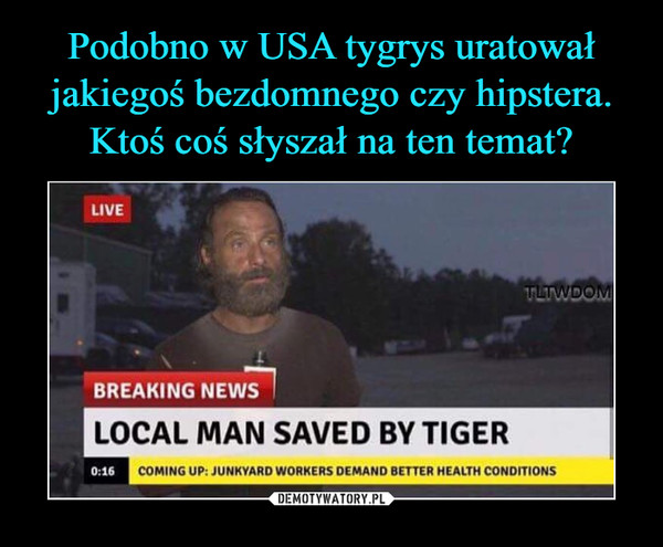 Podobno w USA tygrys uratował jakiegoś bezdomnego czy hipstera. Ktoś coś słyszał na ten temat?