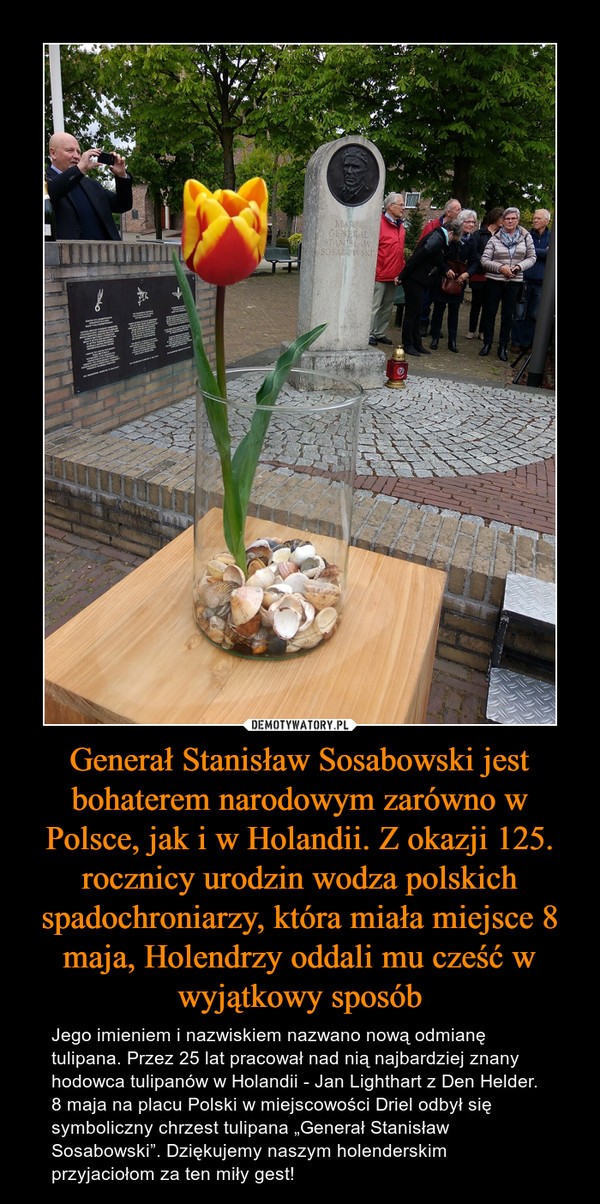 Generał Stanisław Sosabowski jest bohaterem narodowym zarówno w Polsce, jak i w Holandii. Z okazji 125. rocznicy urodzin wodza polskich spadochroniarzy, która miała miejsce 8 maja, Holendrzy oddali mu cześć w wyjątkowy sposób