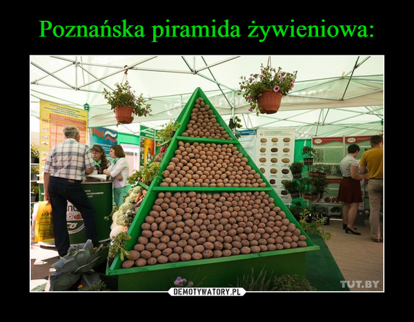 Poznańska piramida żywieniowa:
