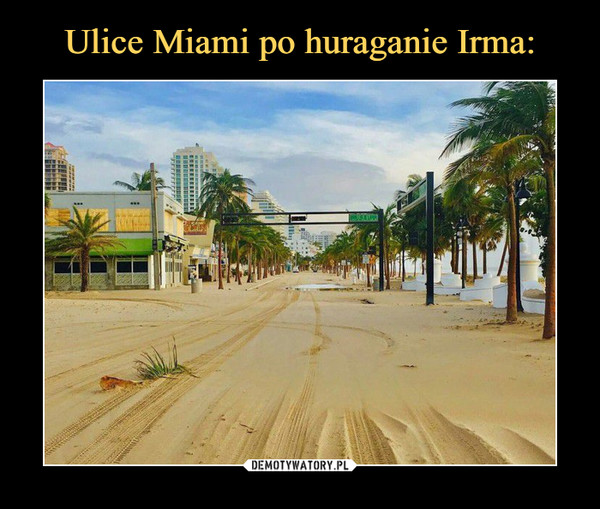 Ulice Miami po huraganie Irma: