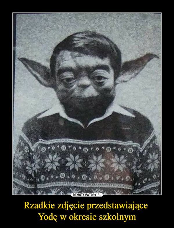 Rzadkie zdjęcie przedstawiające Yodę w okresie szkolnym –  