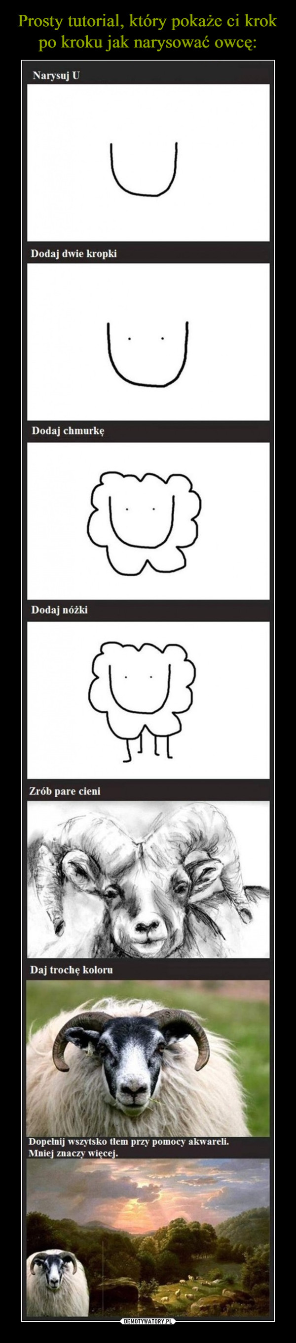 Prosty tutorial, który pokaże ci krok po kroku jak narysować owcę: