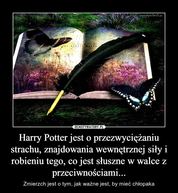Harry Potter jest o przezwyciężaniu strachu, znajdowania wewnętrznej siły i robieniu tego, co jest słuszne w walce z przeciwnościami... – Zmierzch jest o tym, jak ważne jest, by mieć chłopaka 