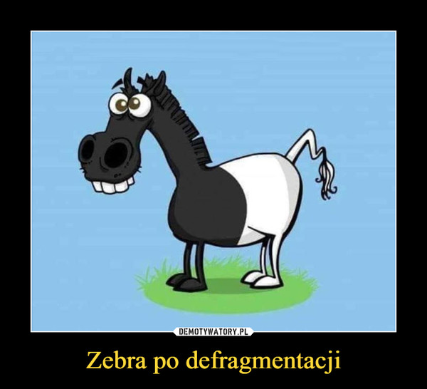 Zebra po defragmentacji –  