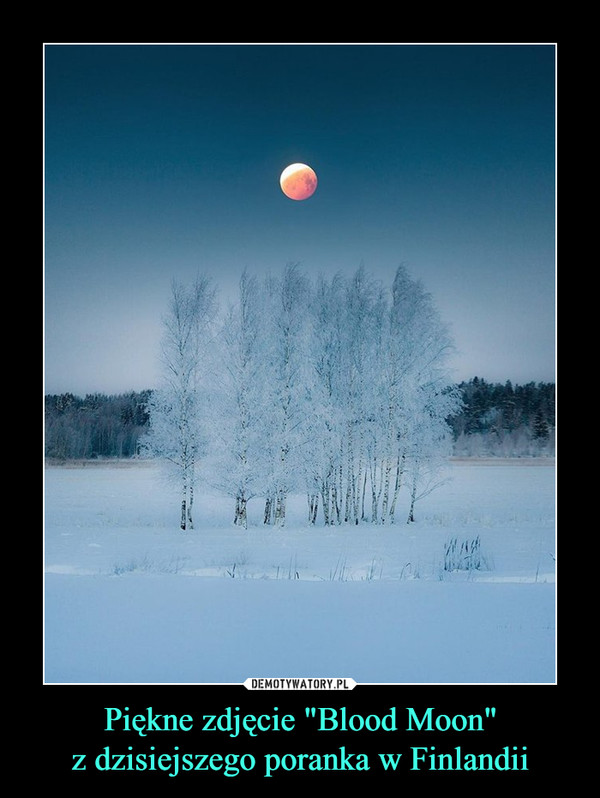Piękne zdjęcie "Blood Moon"
z dzisiejszego poranka w Finlandii