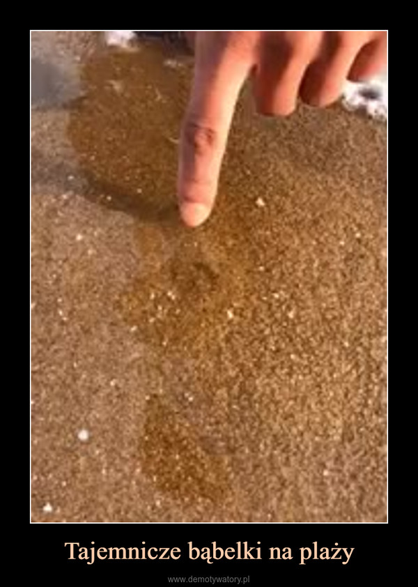 Tajemnicze bąbelki na plaży –  