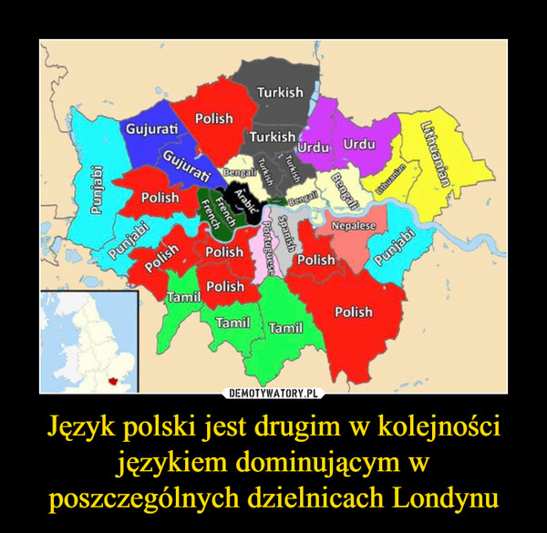 Język polski jest drugim w kolejności językiem dominującym w poszczególnych dzielnicach Londynu –  Polish Turkish Urdu Tamil Punjabi