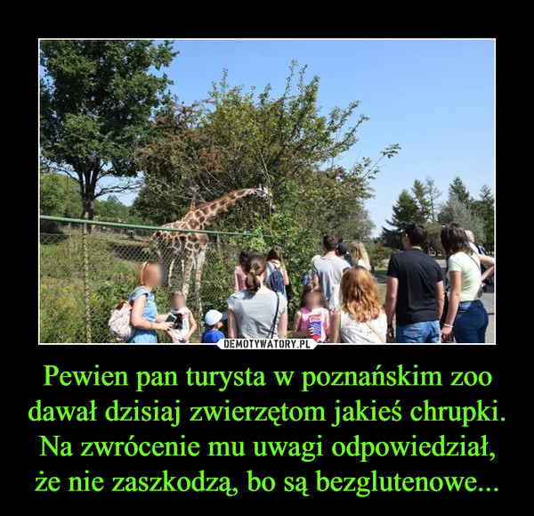 Pewien pan turysta w poznańskim zoo dawał dzisiaj zwierzętom jakieś chrupki. Na zwrócenie mu uwagi odpowiedział, że nie zaszkodzą, bo są bezglutenowe...
