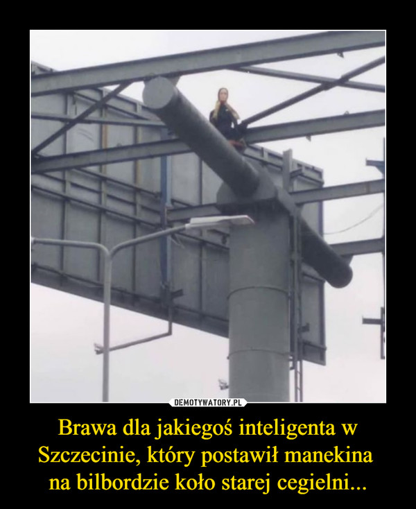 Brawa dla jakiegoś inteligenta w Szczecinie, który postawił manekina na bilbordzie koło starej cegielni... –  