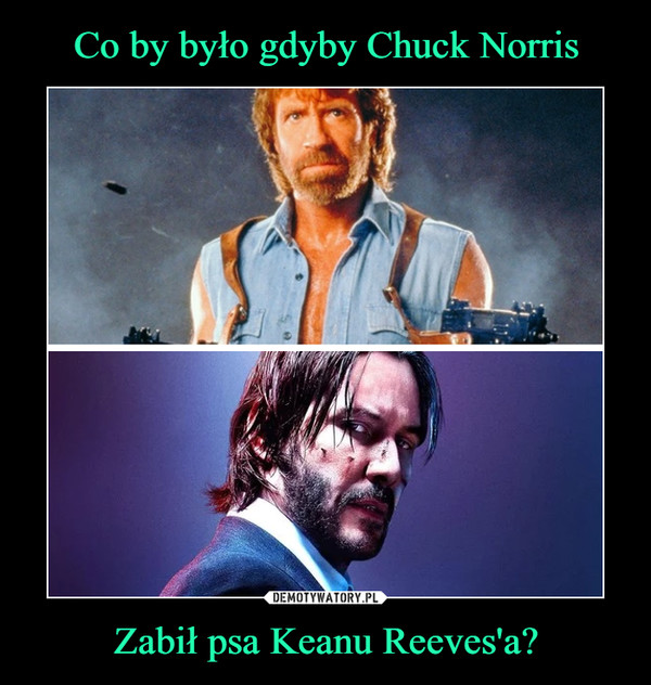 Co by było gdyby Chuck Norris Zabił psa Keanu Reeves'a?