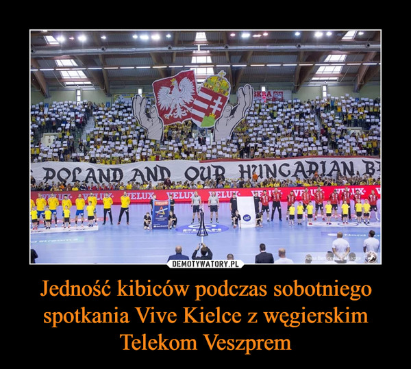 Jedność kibiców podczas sobotniego spotkania Vive Kielce z węgierskim Telekom Veszprem –  