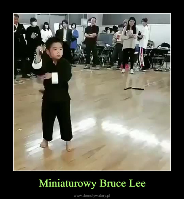 Miniaturowy Bruce Lee –  