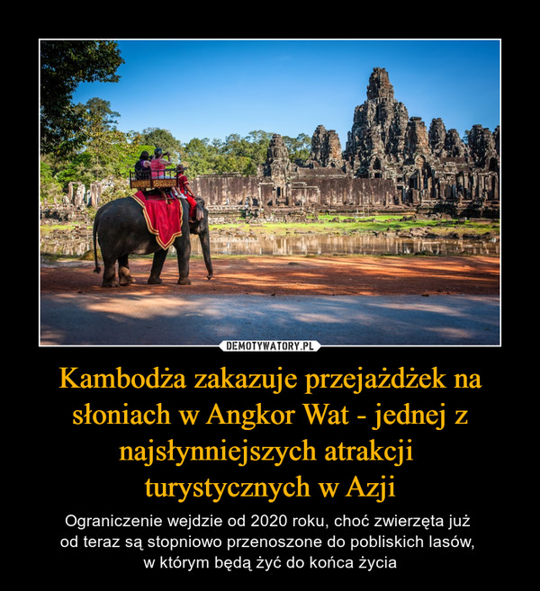 Kambodża zakazuje przejażdżek na słoniach w Angkor Wat - jednej z najsłynniejszych atrakcji turystycznych w Azji – Ograniczenie wejdzie od 2020 roku, choć zwierzęta już od teraz są stopniowo przenoszone do pobliskich lasów, w którym będą żyć do końca życia 