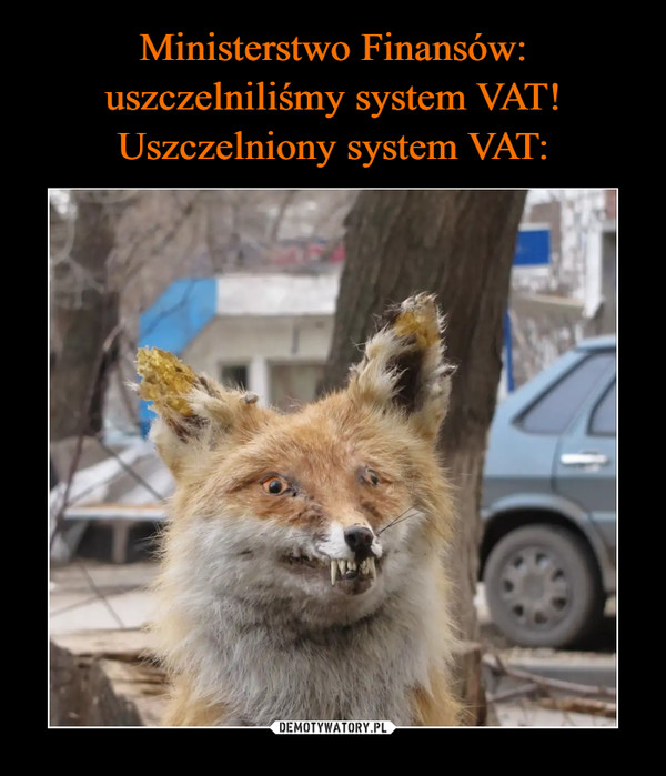 Ministerstwo Finansów: uszczelniliśmy system VAT!
Uszczelniony system VAT: