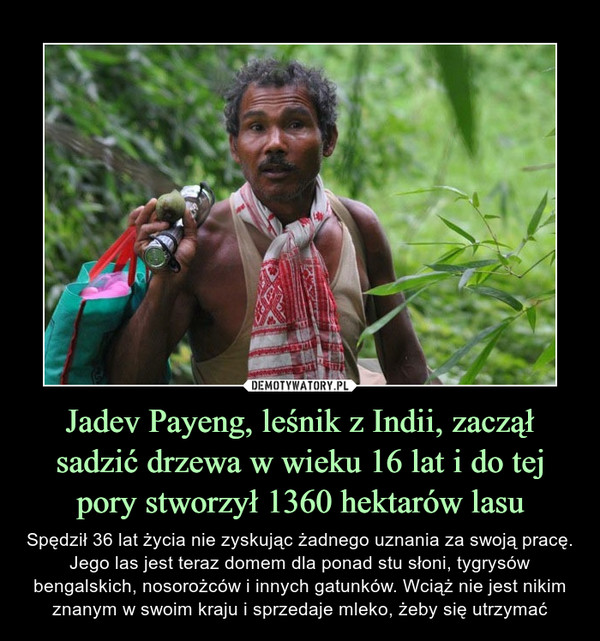 Jadev Payeng, leśnik z Indii, zaczął sadzić drzewa w wieku 16 lat i do tej pory stworzył 1360 hektarów lasu