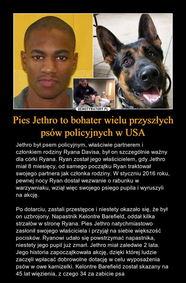 Pies Jethro to bohater wielu przyszłych psów policyjnych w USA – Jethro był psem policyjnym, właściwie partnerem i członkiem rodziny Ryana Davisa, był on szczególnie ważny dla córki Ryana. Ryan został jego właścicielem, gdy Jethro miał 8 miesięcy, od samego początku Ryan traktował swojego partnera jak członka rodziny. W styczniu 2016 roku, pewnej nocy Ryan dostał wezwanie o rabunku w warzywniaku, wziął więc swojego psiego pupila i wyruszyli na akcję. Po dotarciu, zastali przestępce i niestety okazało się, że był on uzbrojony. Napastnik Kelontre Barefield, oddał kilka strzałów w stronę Ryana. Pies Jethro natychmiastowo zasłonił swojego właściciela i przyjął na siebie większość pocisków. Ryanowi udało się powstrzymać napastnika, niestety jego pupil już zmarł. Jethro miał zaledwie 2 lata. Jego historia zapoczątkowała akcję, dzięki której ludzie zaczęli wpłacać dobrowolne dotację w celu wyposażenia psów w owe kamizelki. Kelontre Barefield został skazany na 45 lat więzienia, z czego 34 za zabicie psa 