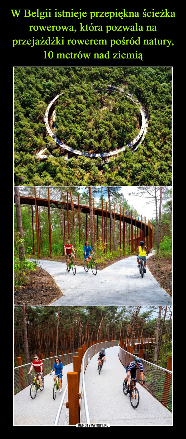 W Belgii istnieje przepiękna ścieżka rowerowa, która pozwala na przejażdżki rowerem pośród natury, 10 metrów nad ziemią