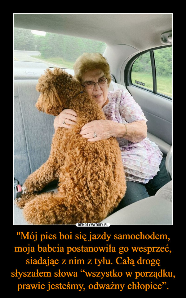 "Mój pies boi się jazdy samochodem, moja babcia postanowiła go wesprzeć, siadając z nim z tyłu. Całą drogę słyszałem słowa “wszystko w porządku, prawie jesteśmy, odważny chłopiec”. –  