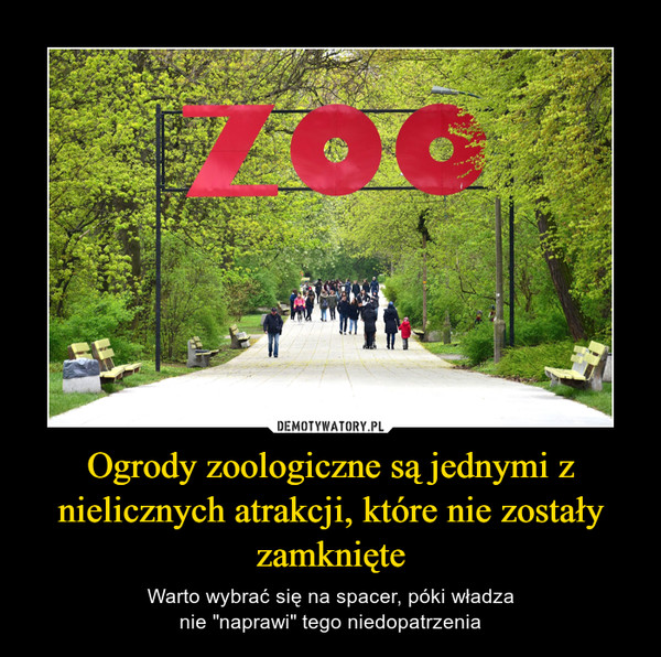Ogrody zoologiczne są jednymi z nielicznych atrakcji, które nie zostały zamknięte – Warto wybrać się na spacer, póki władzanie "naprawi" tego niedopatrzenia 