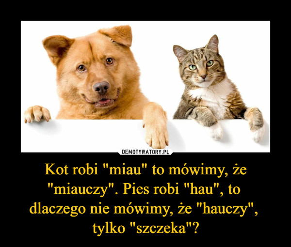 Kot robi "miau" to mówimy, że "miauczy". Pies robi "hau", to 
dlaczego nie mówimy, że "hauczy", 
tylko "szczeka"?