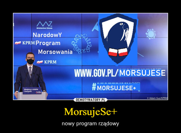 MorsujeSe+ – nowy program rządowy 